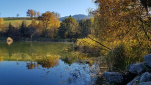 herbstfoto