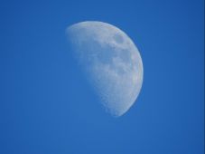 Mond