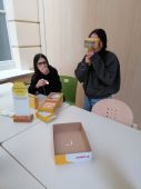 Img 20221124 084419