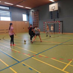 Medien 11