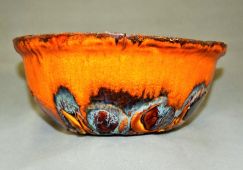 Dsc 0005c