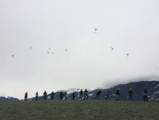 Img 5851
